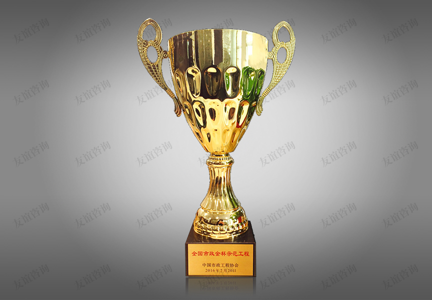 全國市政金杯示范獎(jiǎng)